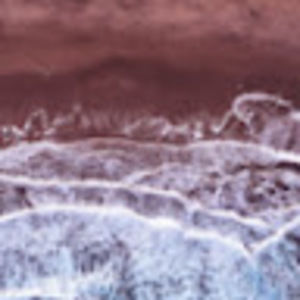 Meet your Posher, Sophia